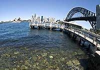 Sydney Harbor Seaweed Contaminated