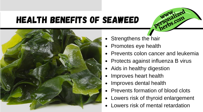 The Amazing Benefits of Seaweed